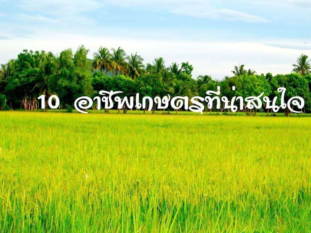 farmer's jobs
